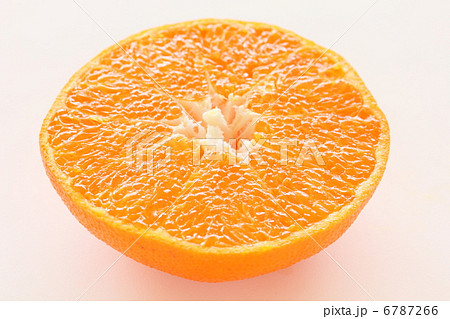 フルーツ みかん 甘平 断面 フルーツ みかん 甘平 断面 6787266
