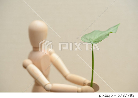 葉を持つデッサン人形 葉を持つデッサン人形 6787795
