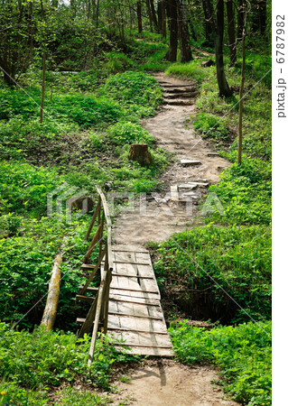 bridge and trail bridge and trail 6787982