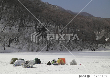 ワカサギ釣り 6788429