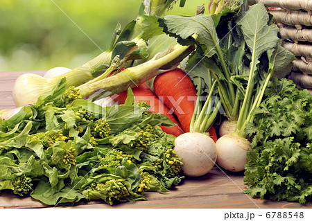 春野菜 春野菜 6788548