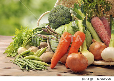 春野菜 6788550