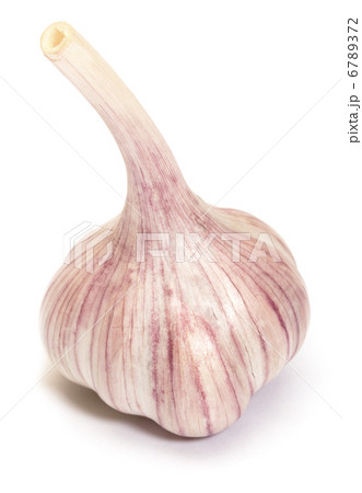 Garlic Garlic 6789372