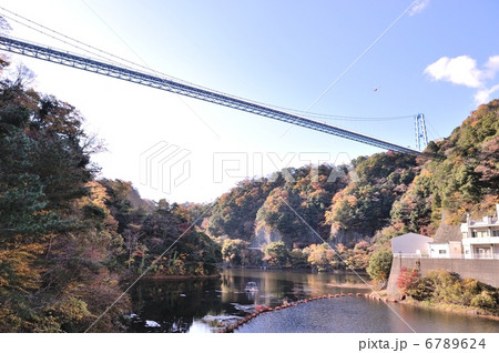 竜神峡の紅葉　茨城県 6789624