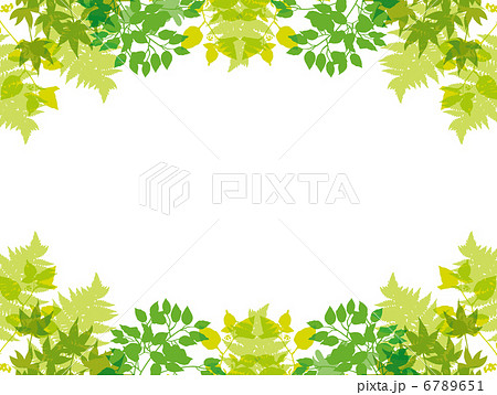 葉 背景 植物のイラスト素材