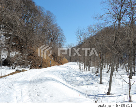 雪道 6789811