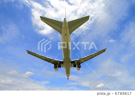 飛行機と青空を見上げて 6789817