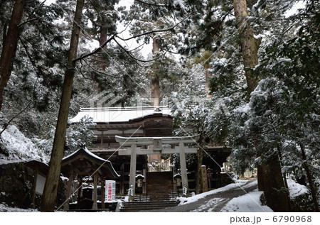 杉林に囲まれた由岐神社 杉林に囲まれた由岐神社 6790968