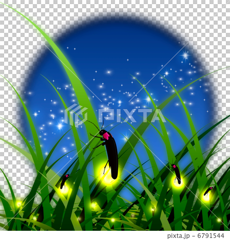 蛍 蛍 6791544