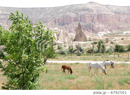 カッパドキア 馬 カッパドキア 馬 6792501
