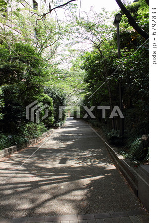 神谷町緑道 6792833