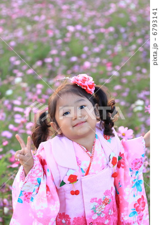 七五三の女の子（コスモスの花畑） 6793141