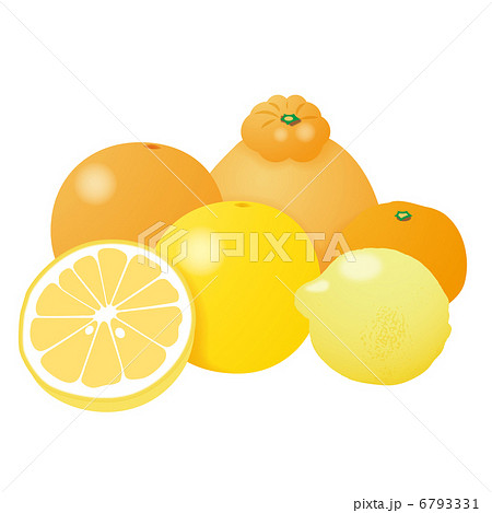 柑橘類 6793331