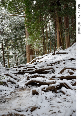 鞍馬寺、木の根道 6793396