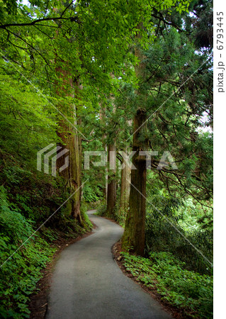 山道 山道 6793445