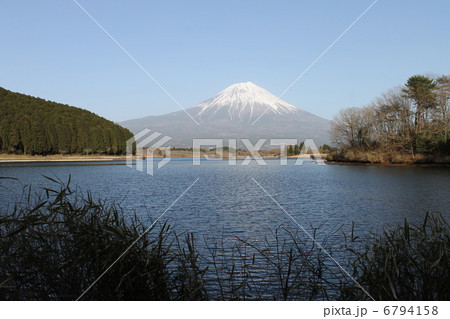 田貫湖と富士山 田貫湖と富士山 6794158