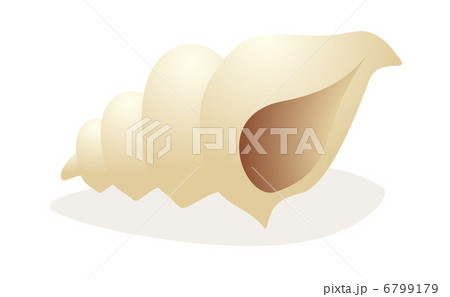 vector icon trumpet shell 6799179