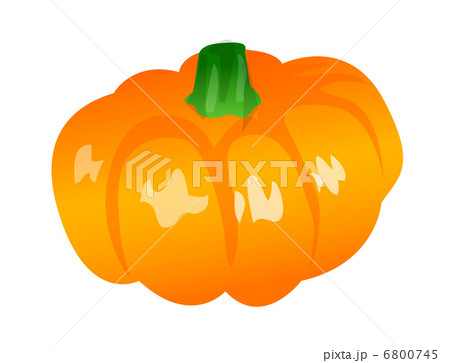 vector icon pumpkin vector icon pumpkin 6800745