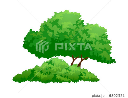 vector icon tree 6802521