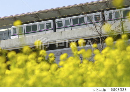 舎人ライナー 6803523