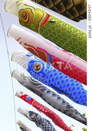 鯉のぼり 6804047