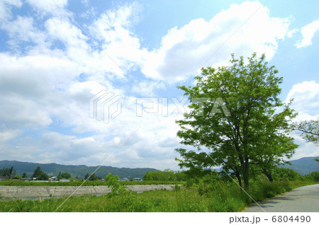 青空と白い雲 6804490