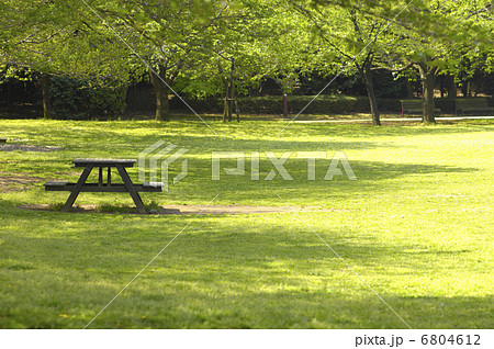 公園 6804612