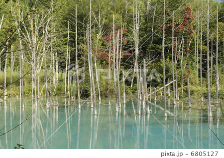 青い池 6805127