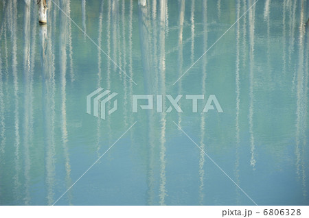 青い池 6806328