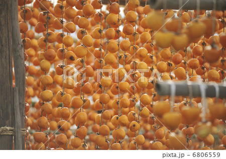 干し柿作り 6806559