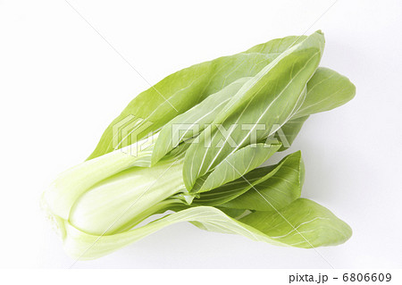 チンゲン菜 6806609