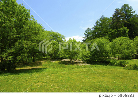 新緑と野原 新緑と野原 6806833