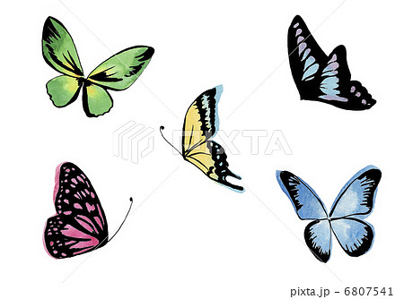 カラフルな手描きの蝶セットのイラスト素材