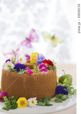 花と蝶々のケーキ 6808038