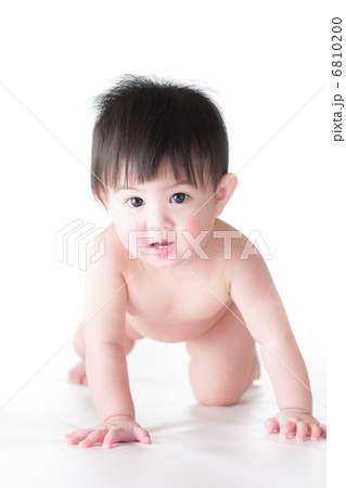 赤ちゃんはいはい 赤ちゃんはいはい 6810200