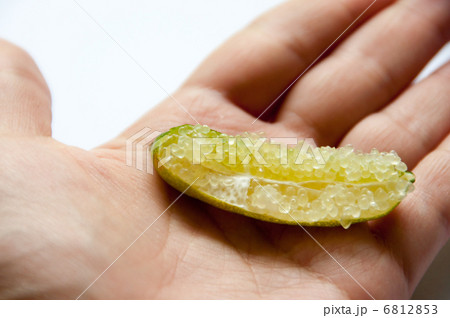 フィンガーライム　on hand 6812853