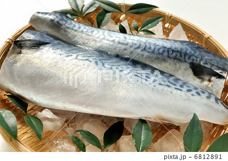 鯖の３枚おろし 6812891