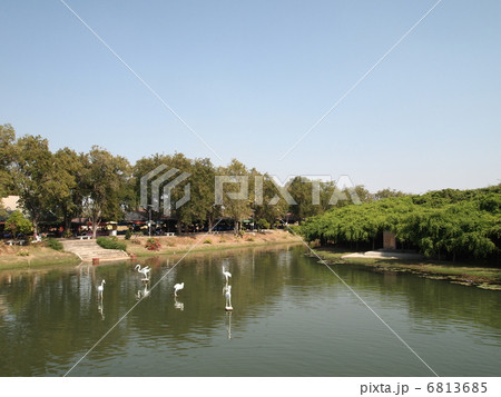タイ ピマーイ サインガム公園 タイ ピマーイ サインガム公園 6813685