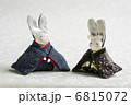 ペアのウサギ 6815072