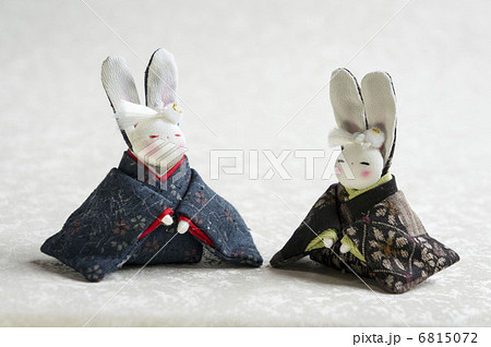 ペアのウサギ 6815072