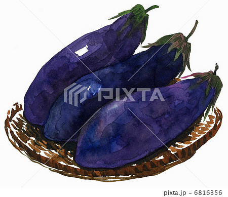 eggplant13319pix 6816356