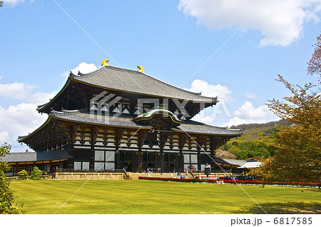 東大寺の「大仏殿」と桜(奈良市雑司町/奈良県) 東大寺の「大仏殿」と桜(奈良市雑司町/奈良県) 6817585