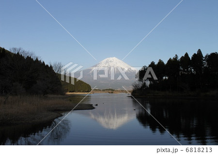 田貫湖の逆さ富士 6818213