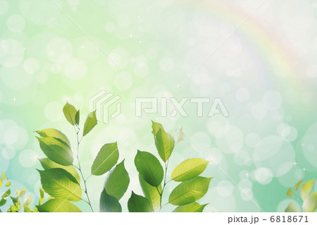 新緑の輝き 6818671