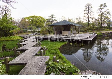 駿府公園 6819442