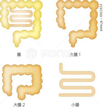 腸 大腸 小腸などの臓器のイラスト素材