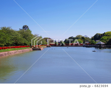 初夏の長岡天満宮 6823694