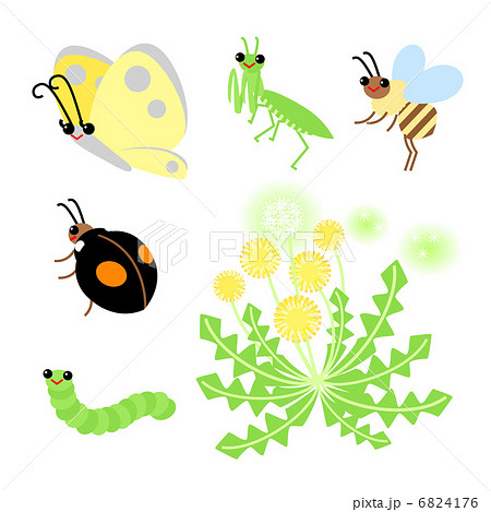 春の昆虫たちとタンポポのイラスト素材