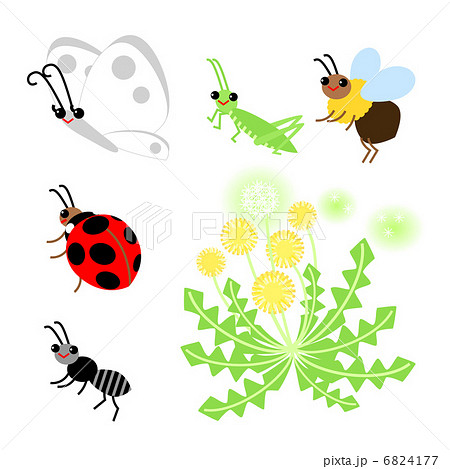 Spring Insects And Dandelions Stock Illustration