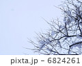 豪雪地方 6824261